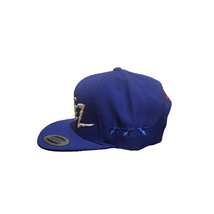 Dodgers Mania
